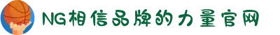 南宫NG·28(中国区)相信品牌力量有限公司